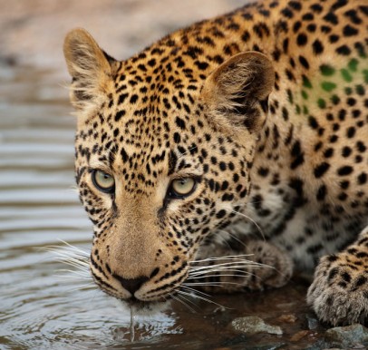 Kruger National Park