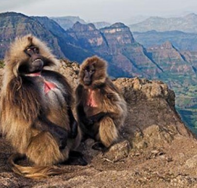 Ethiopia