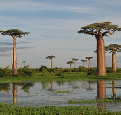 Madagascar