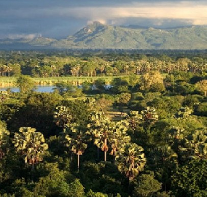 Malawi