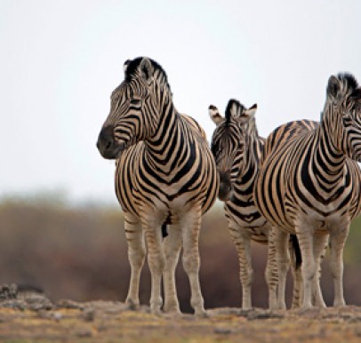 Namibia