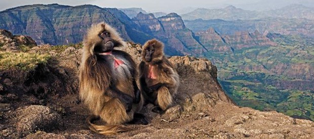 1485535338 Countryinfosliderimage