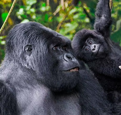 Uganda
