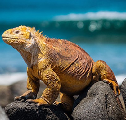 Ecuador