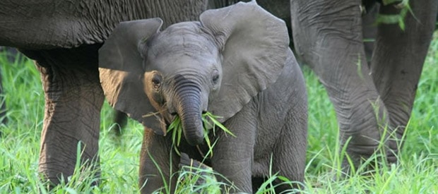 1519413647 Countryinfosliderimage