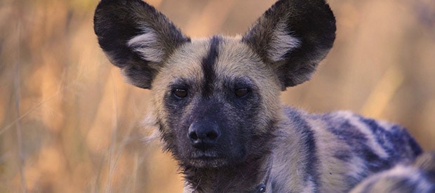 1521740324 Countryinfosliderimage