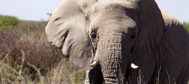 1521740871 Countryinfosliderimage