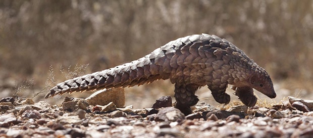 1521740889 Countryinfosliderimage