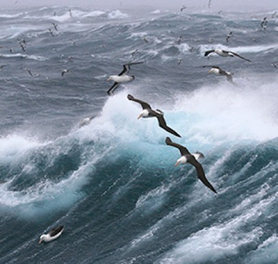 Falkland Islands