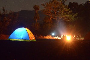 Camping Safari