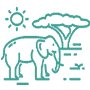 elephant-icon-2