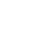 Bear Safari