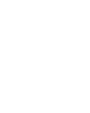 Chimpanzee Safari