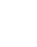Coastal Safari