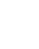 Cycle Safari