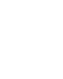 Gorilla Safari