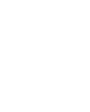 Primate Safari