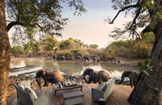 9-Day Highlights of Zimbabwe Safari