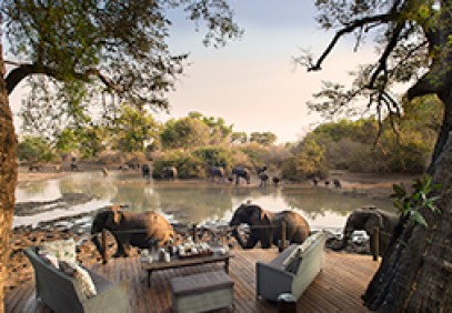 9-Day Highlights of Zimbabwe Safari