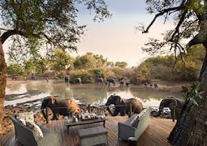 9-Day Highlights of Zimbabwe Safari