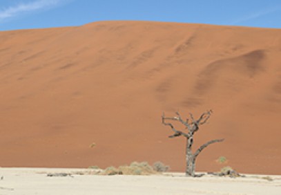 13-Day Namibia Guided Lodge Safari