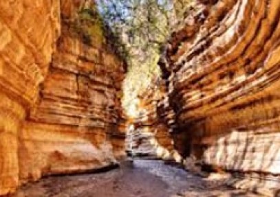 Nairobi, Amboseli, Naivasha & Mara Safari