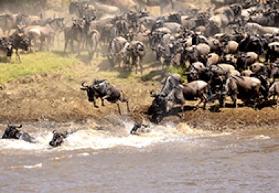 5-Day Masai Mara Safari