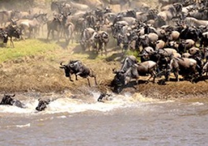 5-Day Masai Mara Safari