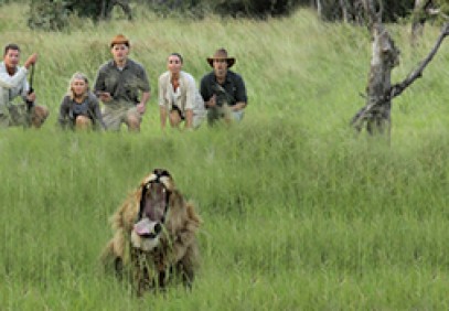 Botswana Northern Highlights