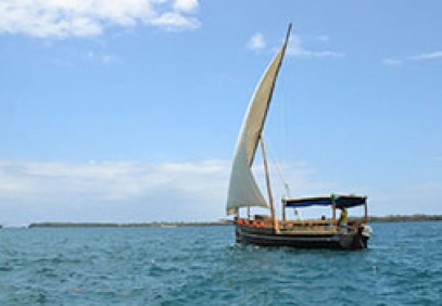 Beach and Wildlife Safari