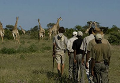 Bush Skills Course