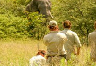 Trail Guide Course