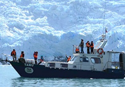 Humpback Whale Watching Adventure