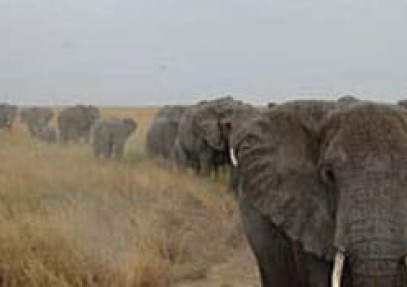 More Than a Weekend Away