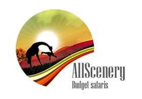 All Scenery Budget Safaris