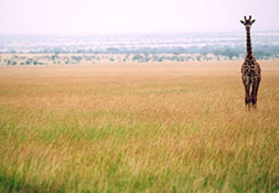 Tanzania & Kenya Wildest Places