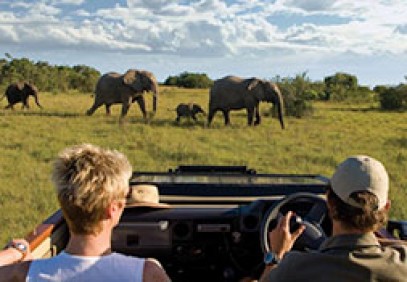 Cape Town & Malaria Free Eastern Cape Safari