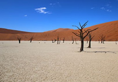 Safari to Namibia