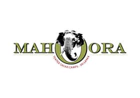 Mahoora Luxury Safari Camps