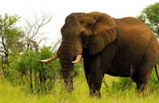 Best of South Africa