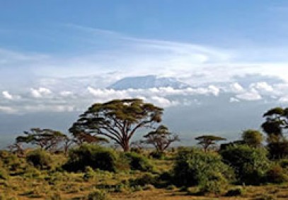 Tsavo Amboseli Safari