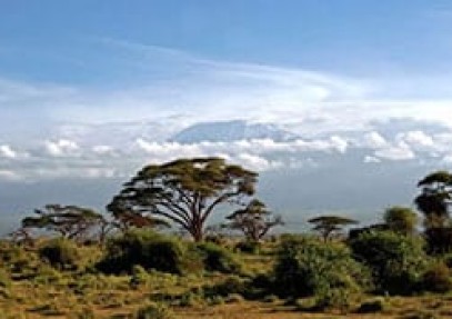 Tsavo Amboseli Safari