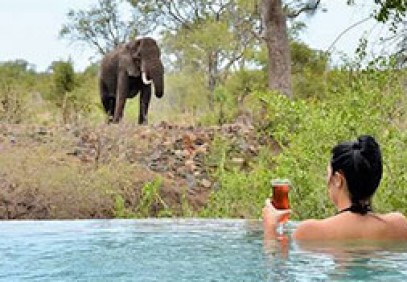 Vic Falls, Kruger & Cape Town