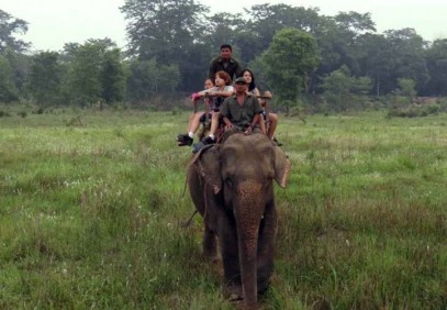 Wildlife Safari in Chitwan National Park