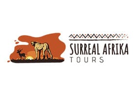Surreal Afrika Tours