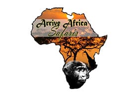 Arrive Africa Safaris