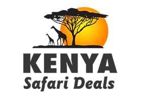 Kenya Safari Deals