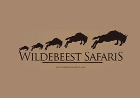Wildebeest Safaris