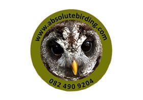 Absolute Birding and Safaris