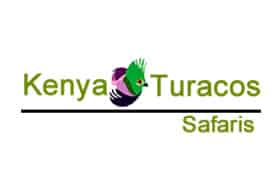 Kenya Turacos Safaris
